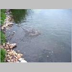 Popelov 17.9.2008 -29.JPG